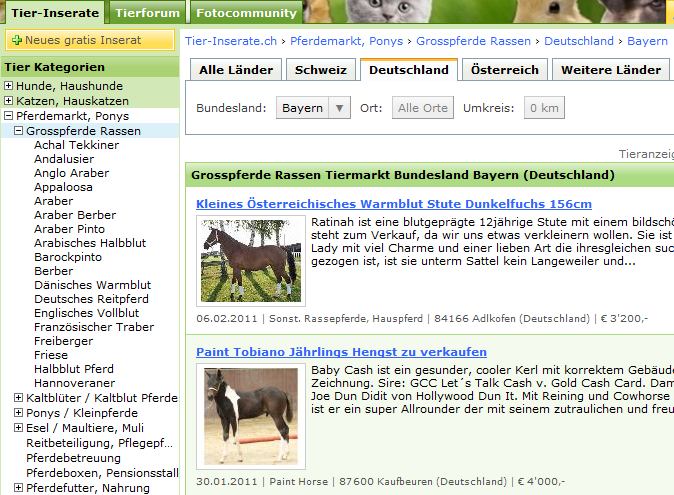 Tierforum Deutschen Pferde Inserate nur bei den Deutschland Inseraten&hellip;
